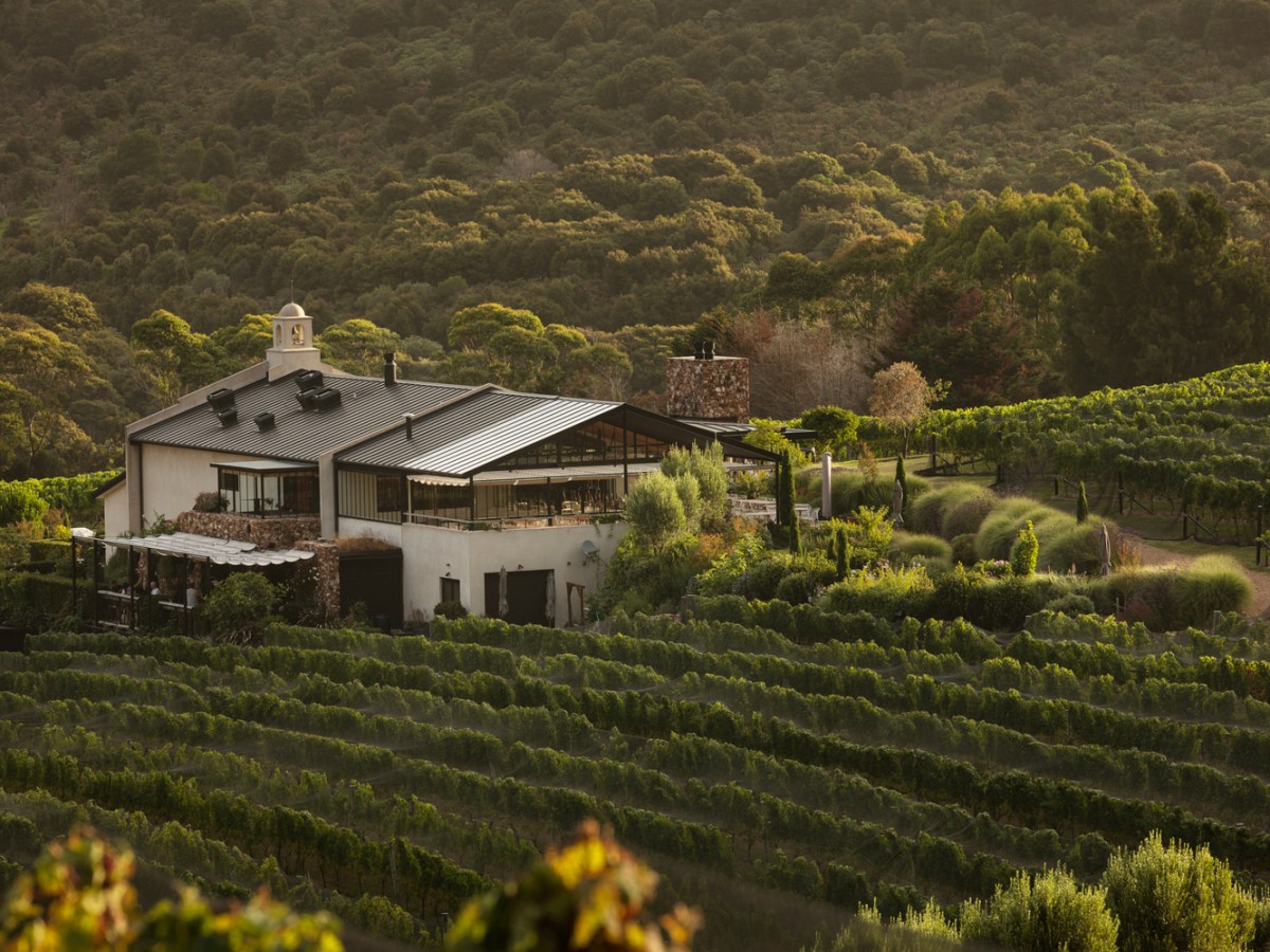 5 Epic Wineries on Waiheke&nbsp;Island