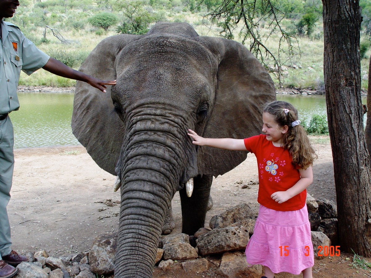 How Growing Up Travelling Shapes Your&nbsp;Identity