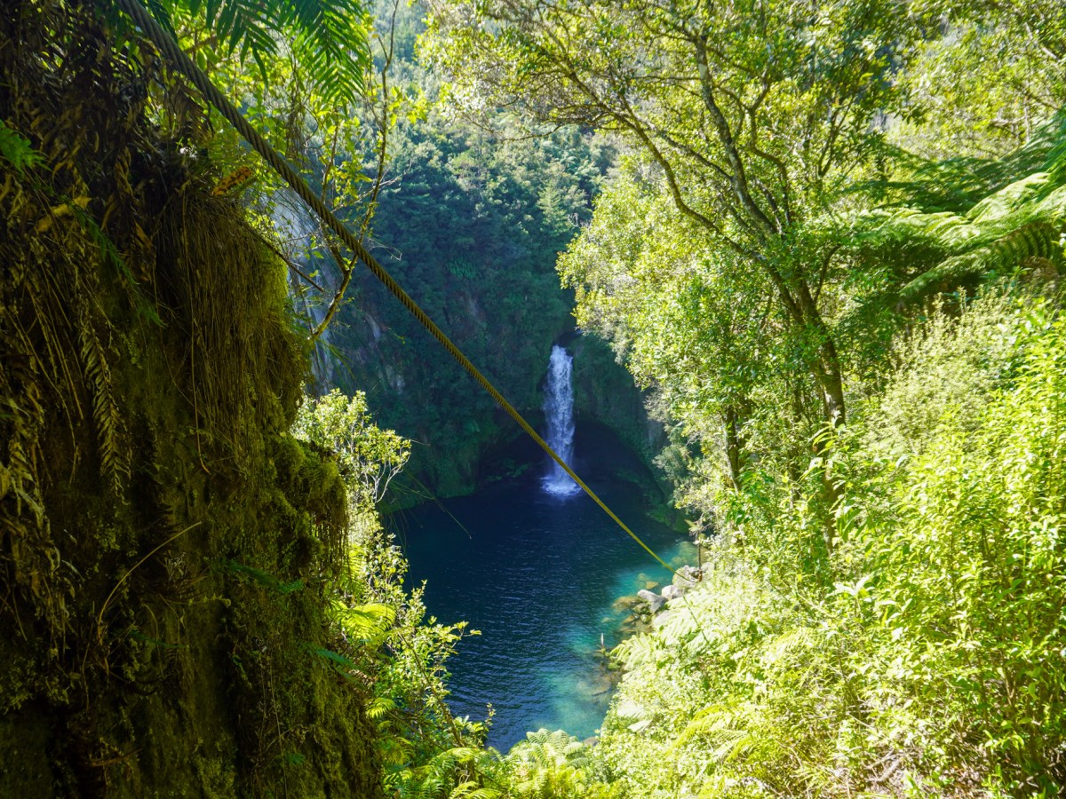 Visiting Ōmanawa Falls: One of New Zealand’s Best&nbsp;Waterfalls